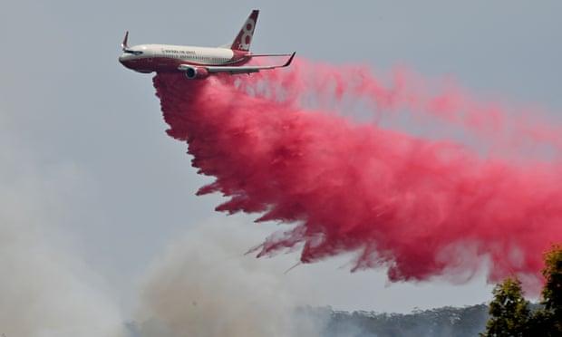 Windsocks-Australia-Airplane-Fire-Bush-Pink