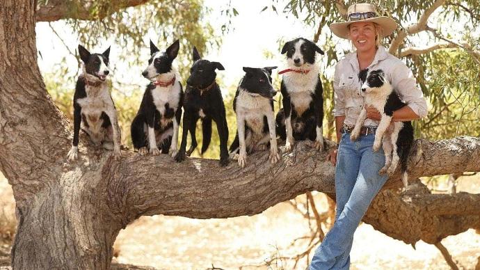 Windsocks-Australia-Dogs-Puppy-Woman-Tree