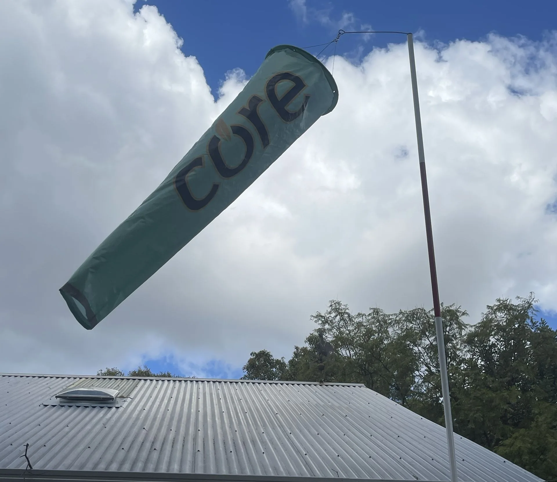 Custom Printed Advertising Windsock