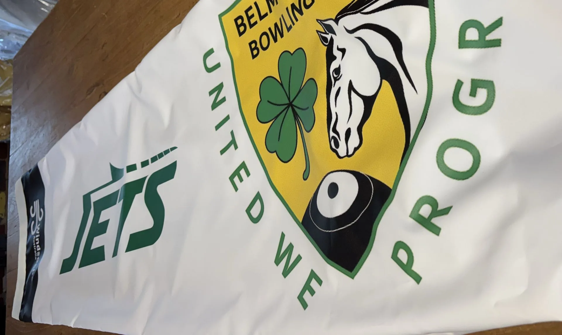 Sunbrella Custom Printed Windsock